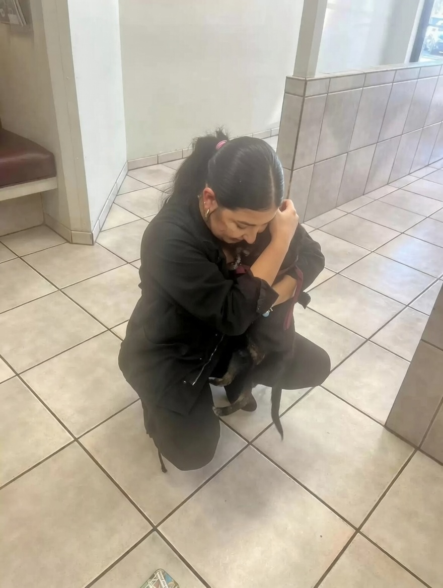 emotional dog reunion with owner at hospital