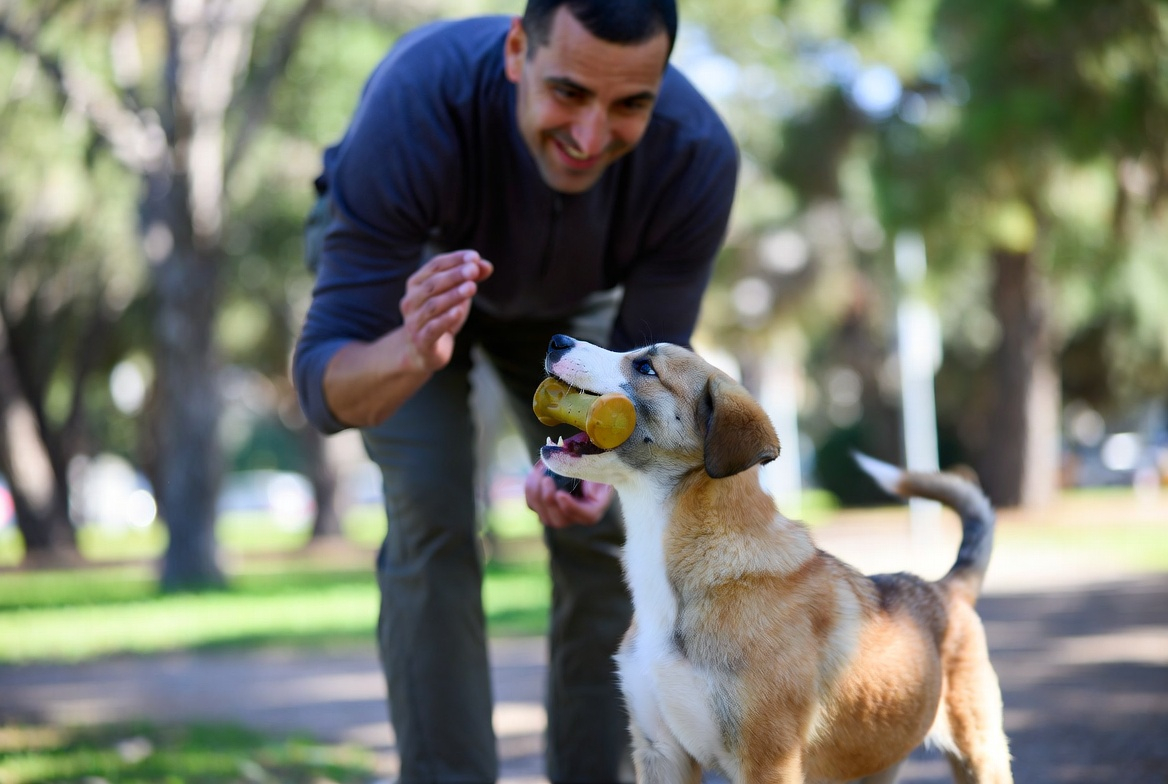 Outdoor practice during how to train a puppy to drop things