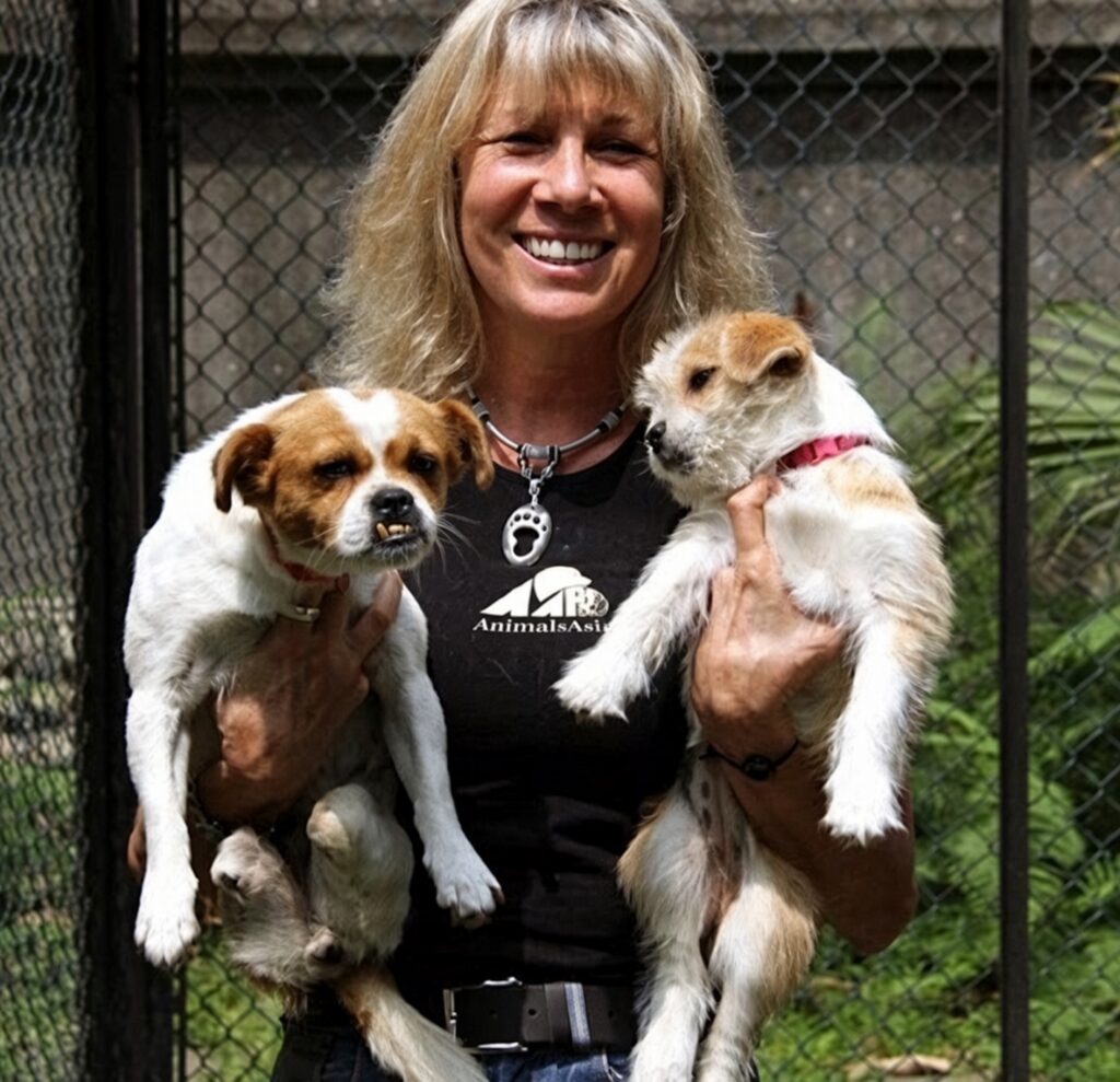 Animals Asia dog rescue