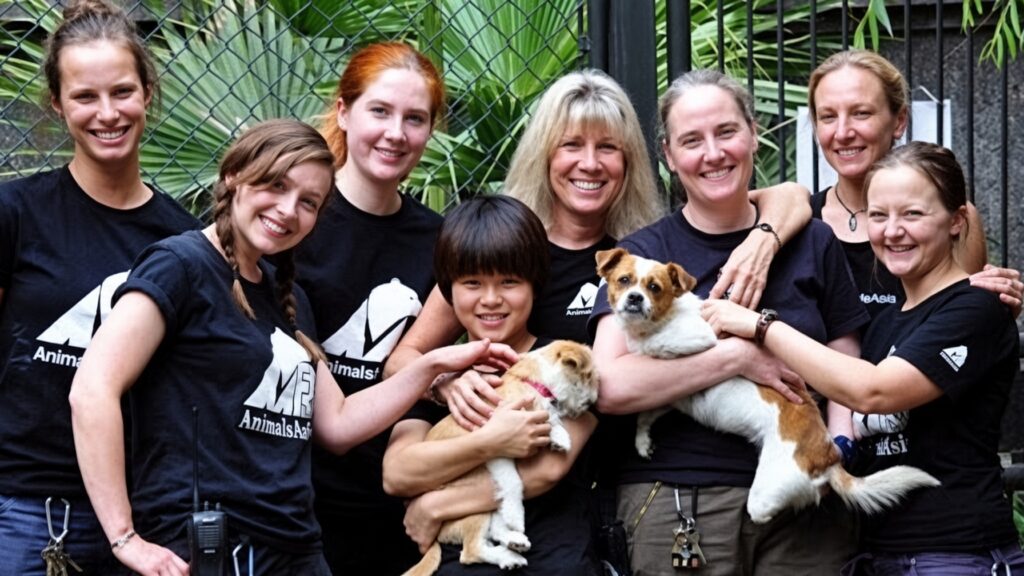 disabled dog second chance